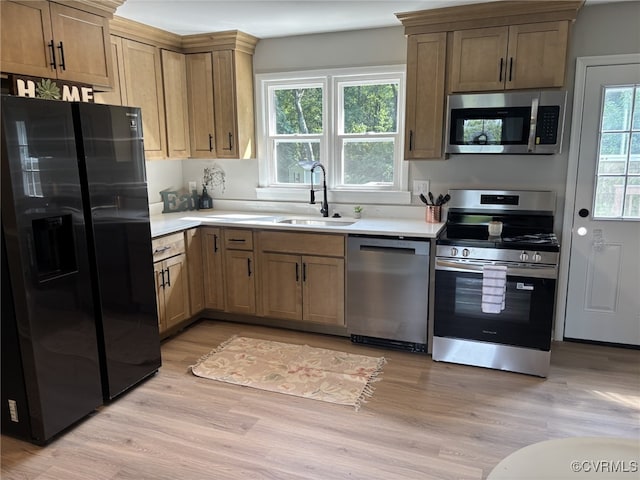 13009 Verdon Rd, Doswell, VA 23047 - photo 4