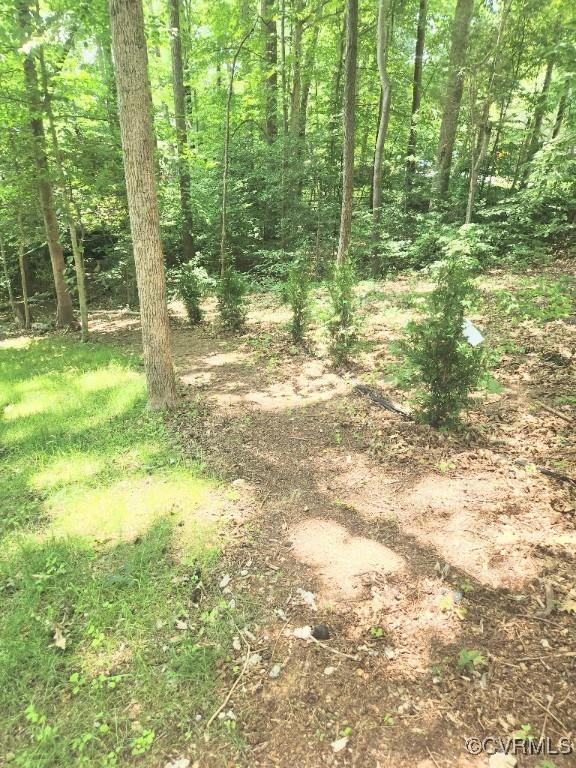 7000 Deer Run Ln, Midlothian, VA 23112 - photo 25