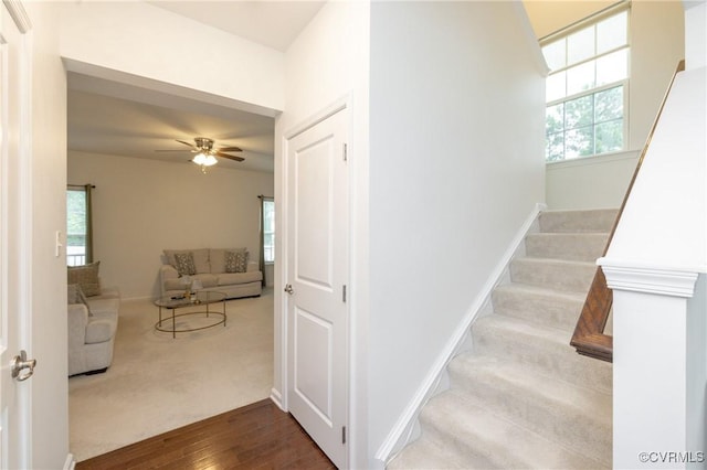 8724 Branchs Woods Ln, North Chesterfield, VA 23237 - photo 15