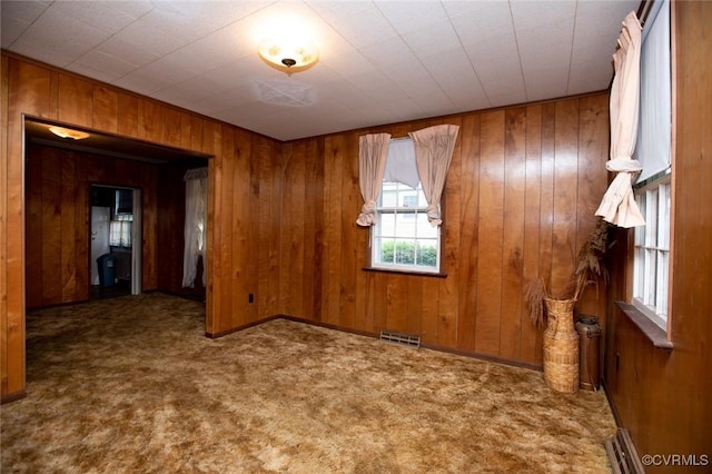 224 Hylawn Ave, Farmville, VA 23901 - photo 14