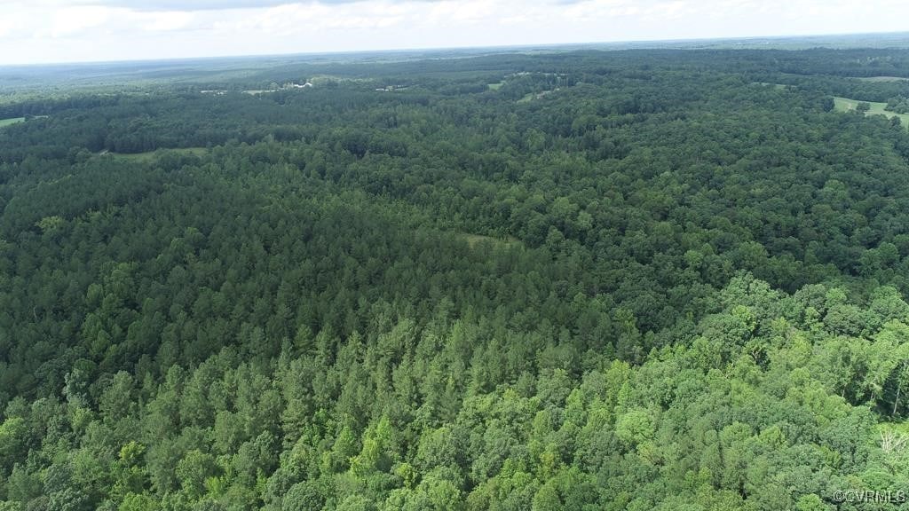 00 Genito Pkwy, Jetersville, VA 23083 - photo 2