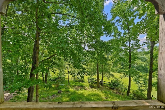 1631 Porters Mill Ter, Midlothian, VA 23114 - photo 35