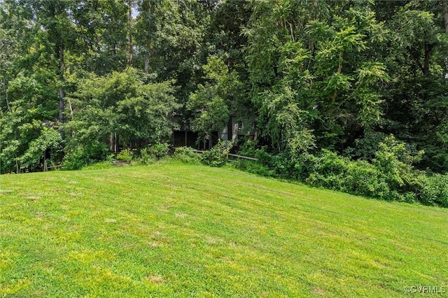 1631 Porters Mill Ter, Midlothian, VA 23114 - photo 38