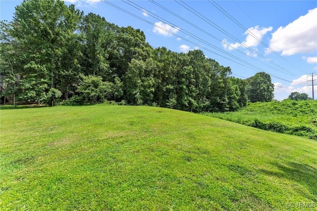 1631 Porters Mill Ter, Midlothian, VA 23114 - photo 39