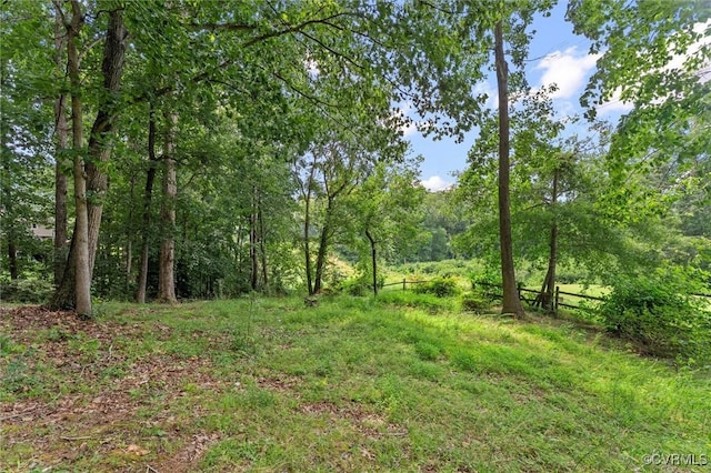 1631 Porters Mill Ter, Midlothian, VA 23114 - photo 43