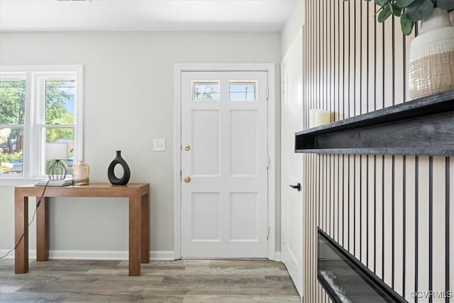 1009 Holmes Ave, Charlottesville, VA 22901 - photo 5