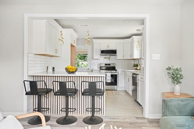 1009 Holmes Ave, Charlottesville, VA 22901 - photo 11