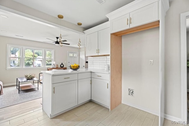 1009 Holmes Ave, Charlottesville, VA 22901 - photo 15
