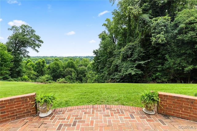7539 Riverside Dr, Richmond, VA 23225 - photo 41