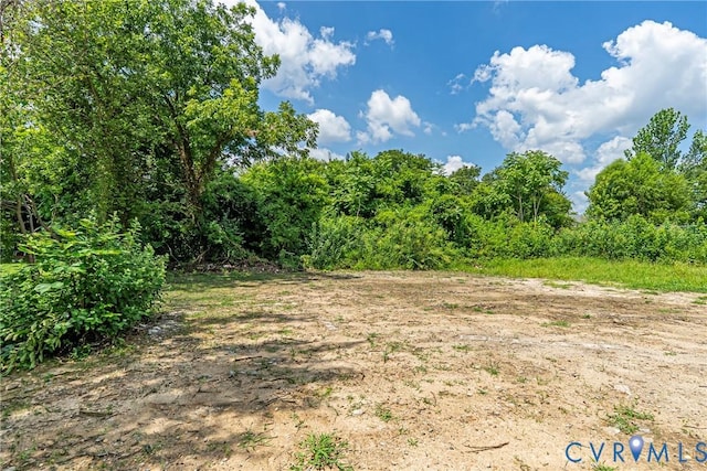 424 Byrne St, Petersburg, VA 23803 - photo 30