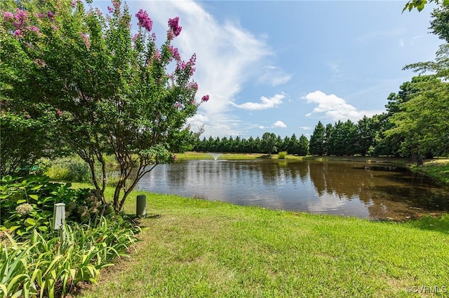 14455 Duckridge Ct, Midlothian, VA 23112 - photo 2
