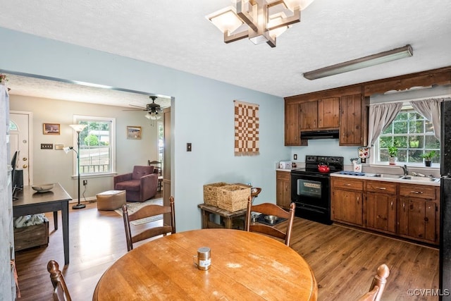 2447 Ocala Dr, Powhatan, VA 23139 - photo 12