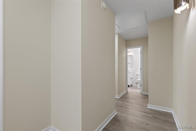 636 High St, Petersburg, VA 23803 - photo 37