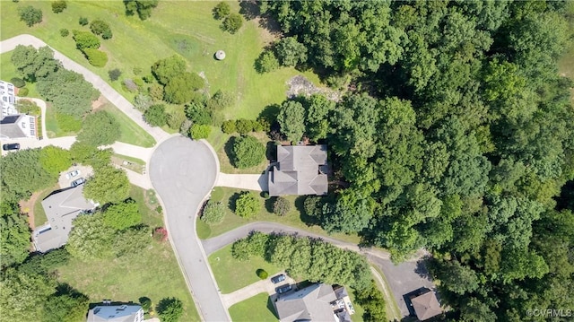 9388 Ashlock Ct, Toano, VA 23168 - photo 48
