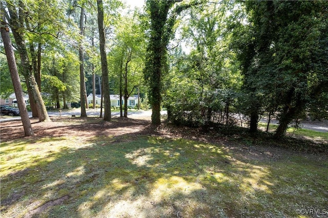 2313 Stratford Ct, Richmond, VA 23225 - photo 6