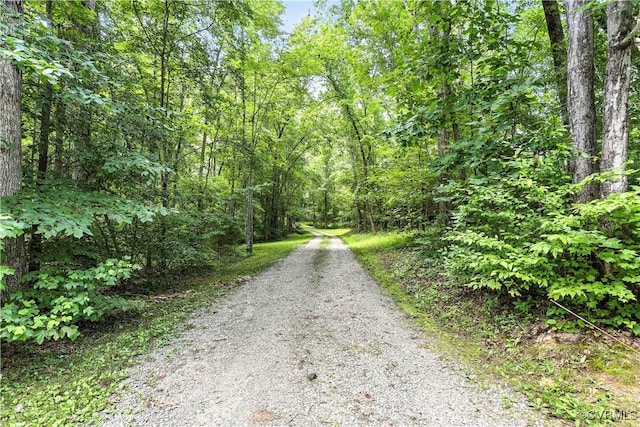 4290 Three Chopt Rd, Gum Spring, VA 23065 - photo 9