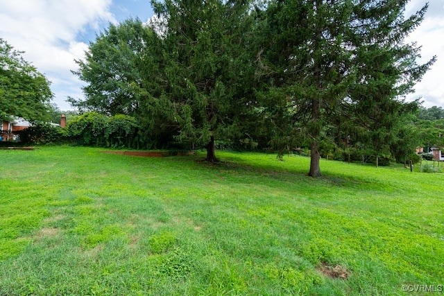 12308 Petersburg St, Chester, VA 23831 - photo 44