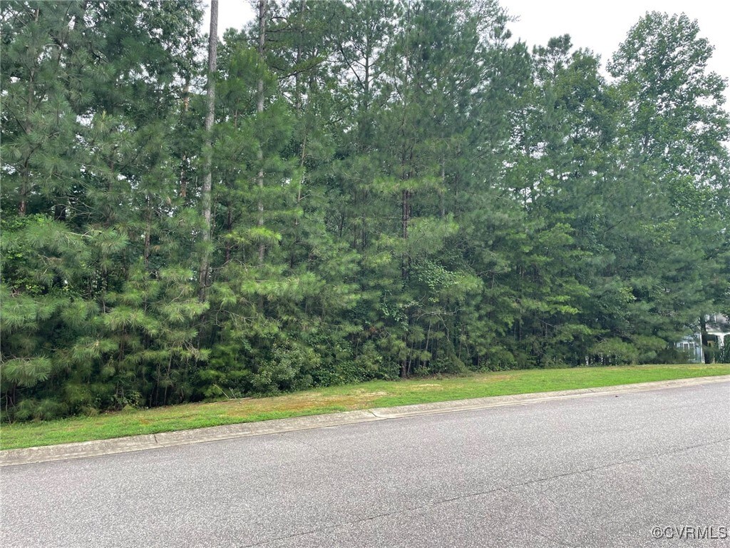 5300 Linkshire Ln, Providence Forge, VA 23140 - photo 2