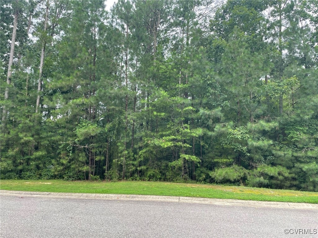 5300 Linkshire Ln, Providence Forge, VA 23140 - photo 3