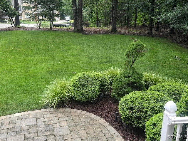 11901 Ambergate Dr, Midlothian, VA 23113 - photo 3