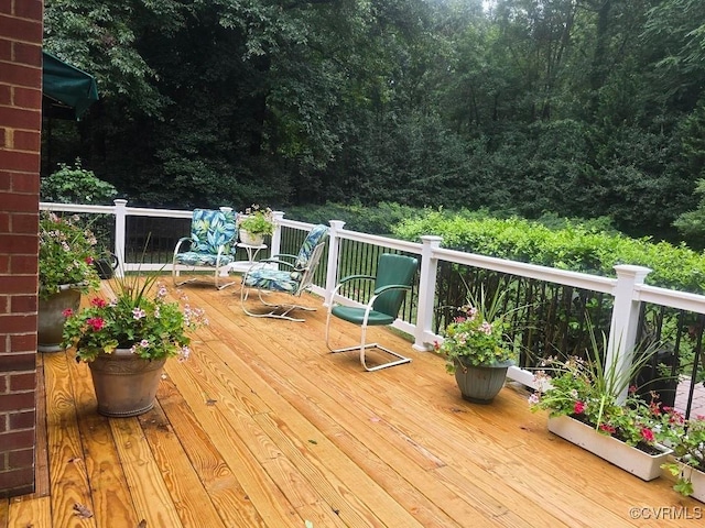 11901 Ambergate Dr, Midlothian, VA 23113 - photo 6