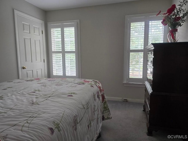 11901 Ambergate Dr, Midlothian, VA 23113 - photo 31