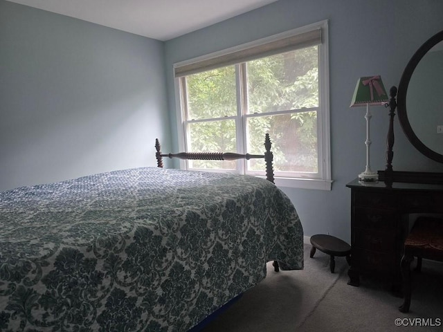 11901 Ambergate Dr, Midlothian, VA 23113 - photo 33