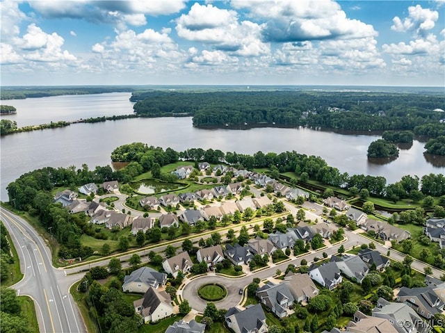 4227 Heron Pointe Pl, Moseley, VA 23120 - photo 45