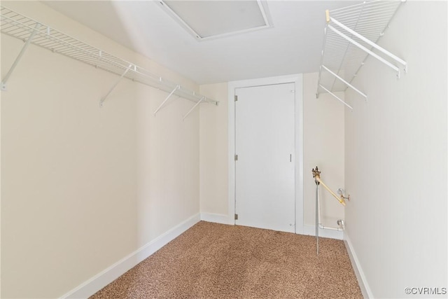 1921 W Cary St Unit A, Richmond, VA 23220 - photo 29