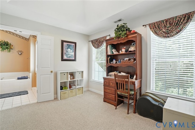10246 Balducci Pl, Hanover, VA 23116 - photo 35