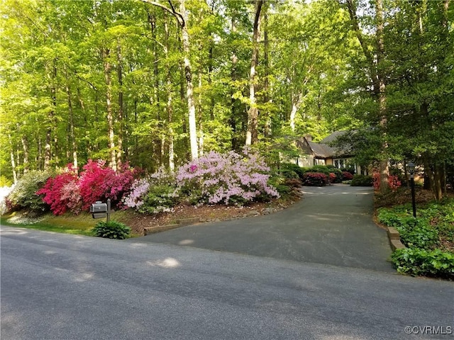 2440 Camelback Rd, Chesterfield, VA 23236 - photo 35