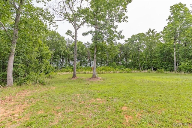 16993 Richmond Hwy, Pamplin, VA 23958 - photo 29