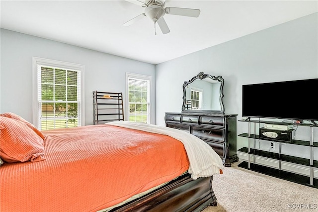 229 Skipjack Ln, Hallieford, VA 23035 - photo 25
