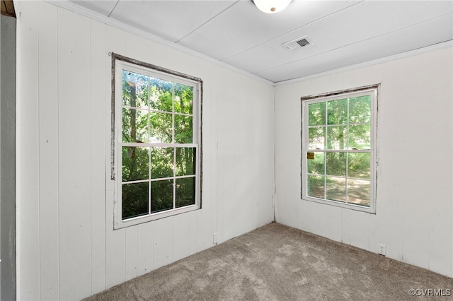 44 Pine Rd, Louisa, VA 23093 - photo 16