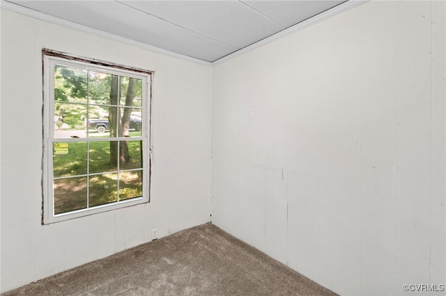 44 Pine Rd, Louisa, VA 23093 - photo 17