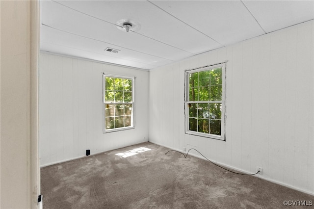 44 Pine Rd, Louisa, VA 23093 - photo 19
