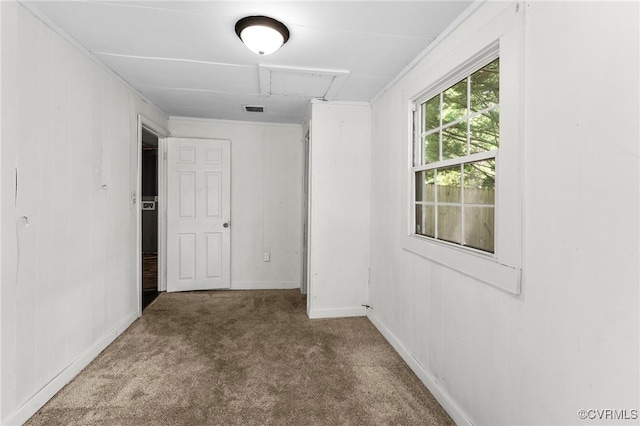 44 Pine Rd, Louisa, VA 23093 - photo 24