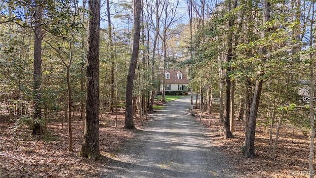 8407 Knollwood Ct, Mechanicsville, VA 23116 - photo 4