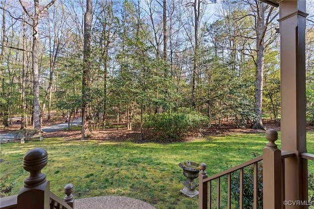 8407 Knollwood Ct, Mechanicsville, VA 23116 - photo 5