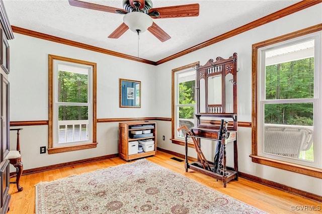 11384 Georgetown Rd, Mechanicsville, VA 23116 - photo 23