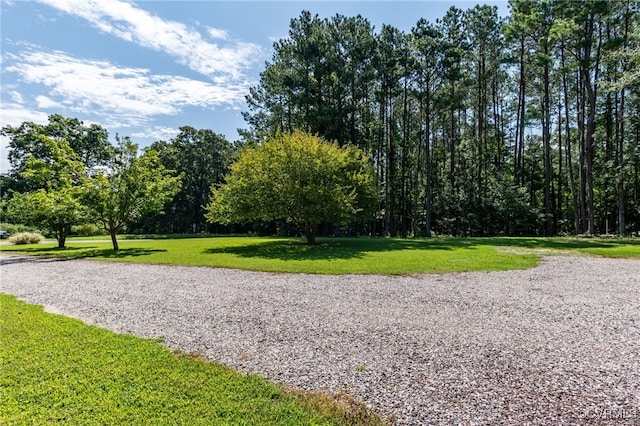 15410 Rowlett Rd, Chesterfield, VA 23838 - photo 5