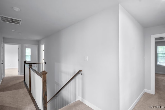 8136 Fedora Dr, Chesterfield, VA 23838 - photo 23