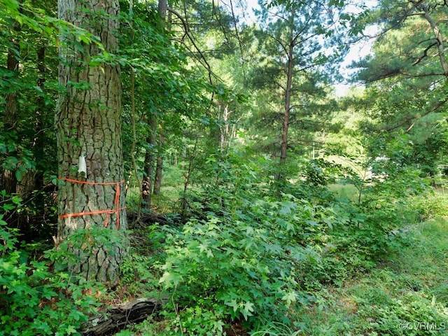 0 Black Stump Rd, Weems, VA 22503 - photo 24