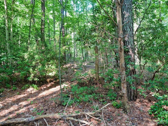 0 Black Stump Rd, Weems, VA 22503 - photo 19