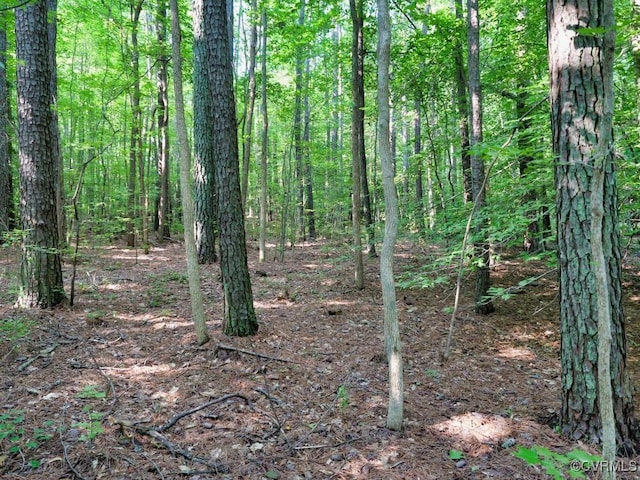 0 Black Stump Rd, Weems, VA 22503 - photo 20
