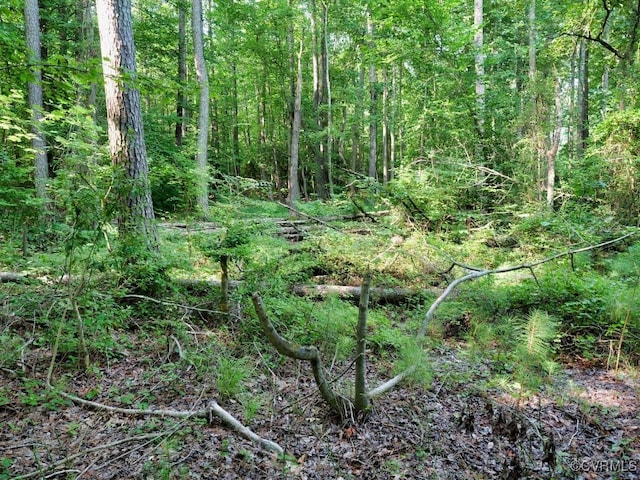 0 Black Stump Rd, Weems, VA 22503 - photo 22