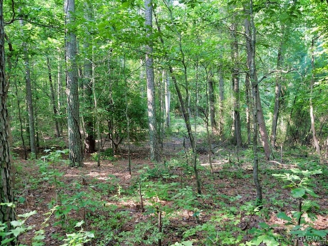 0 Black Stump Rd, Weems, VA 22503 - photo 23