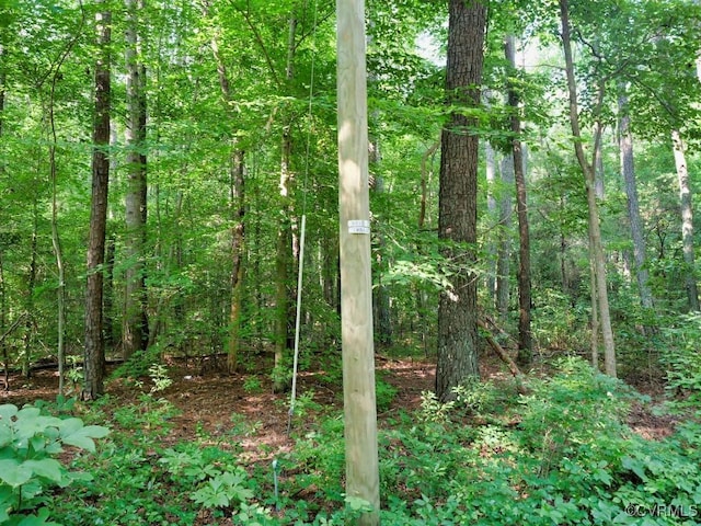 0 Black Stump Rd, Weems, VA 22503 - photo 2