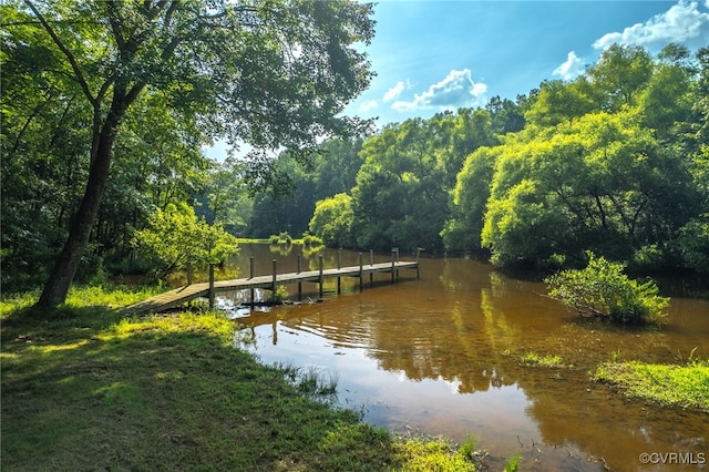 3412 Lake Randolph Ct, Powhatan, VA 23139 - photo 45