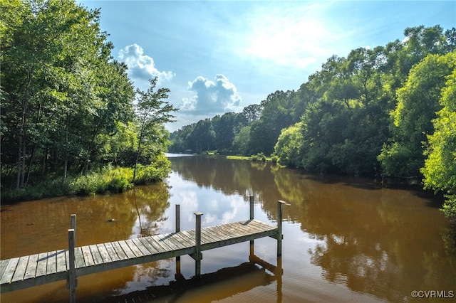 3412 Lake Randolph Ct, Powhatan, VA 23139 - photo 46